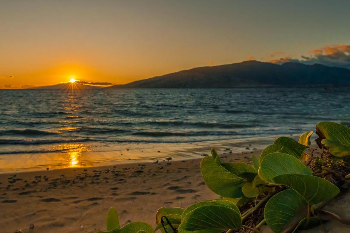 Maui Sunset B-115 Apartment Kihei Ngoại thất bức ảnh